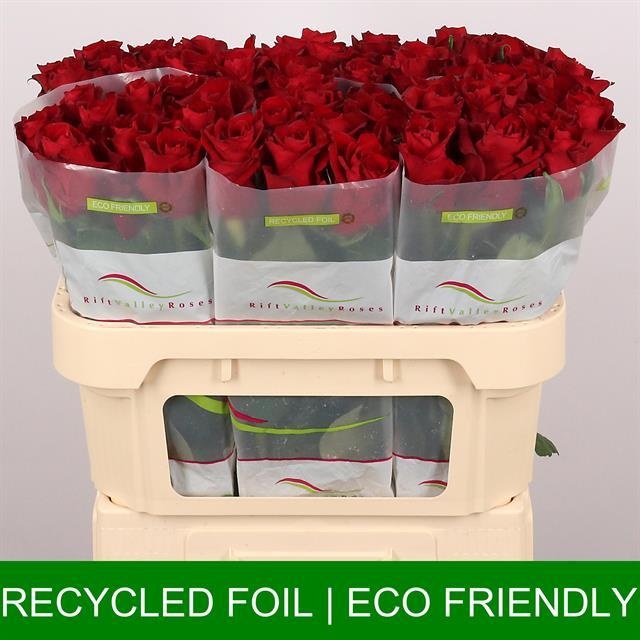 Роза од. Эвер Рэд 70, шт.