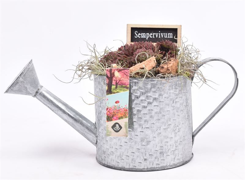 Zinken gieter old look 13cm, D 14