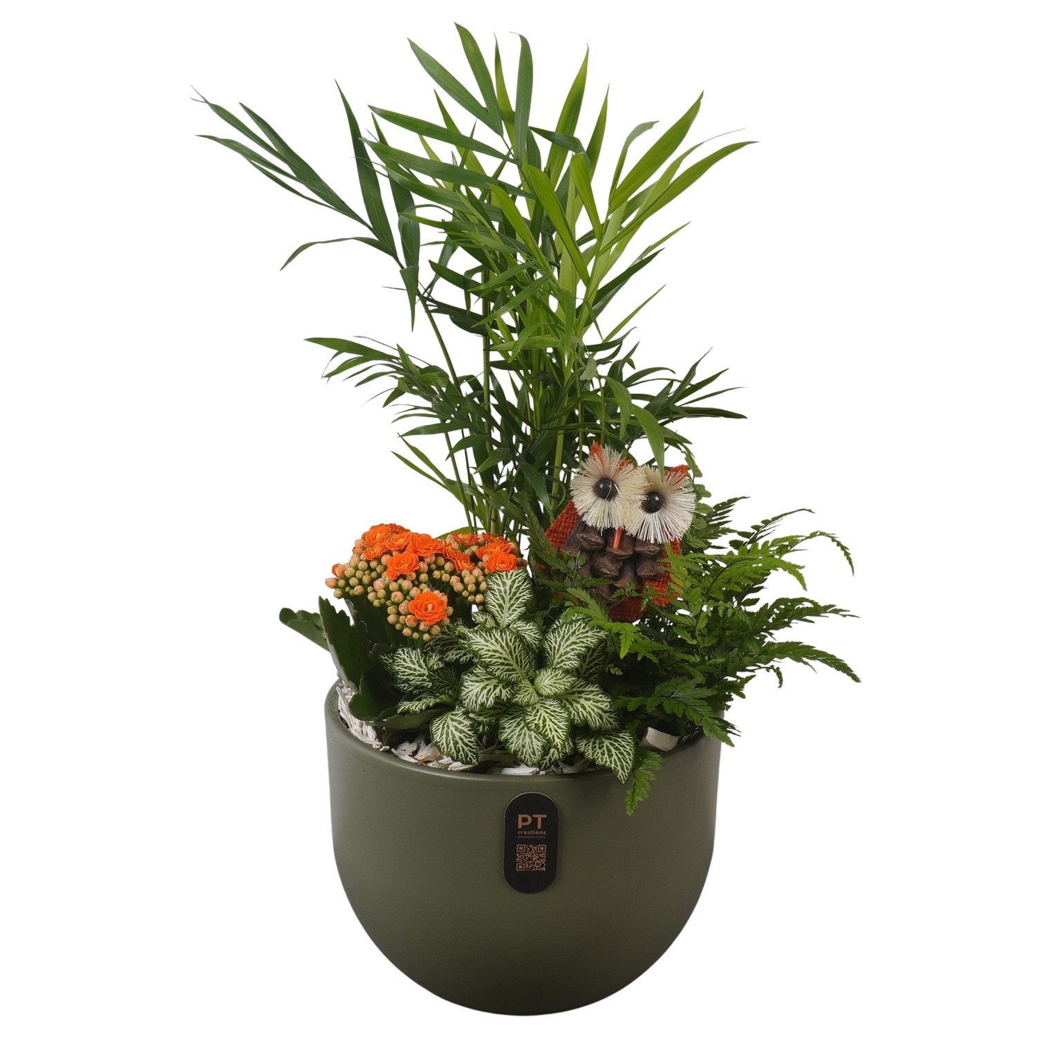 PTHI3233 Arrangement Autumn Indoor in keramiek pot, D 19