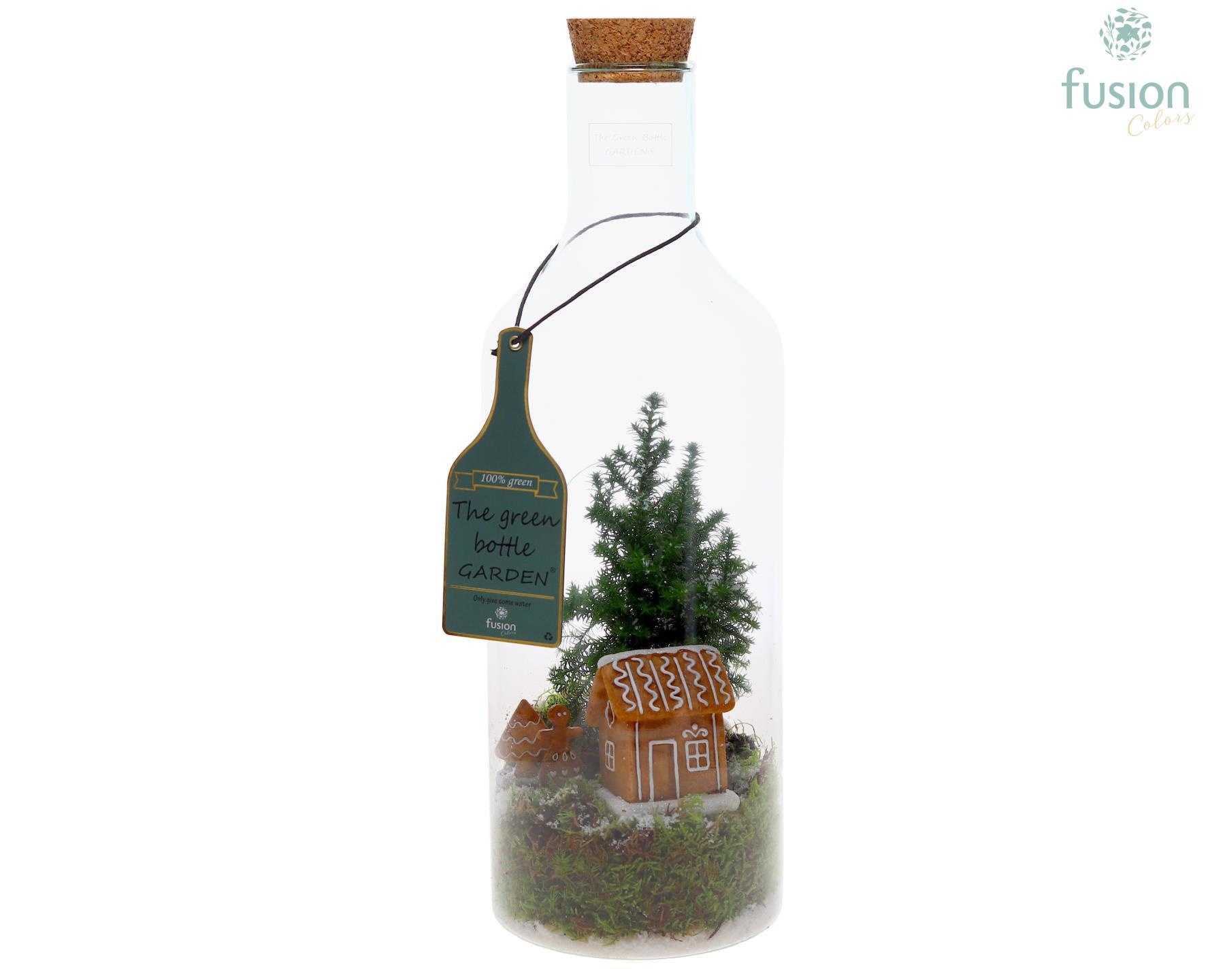Green Bottle Fles Medium Kerst met Chamaecyparis, D 15