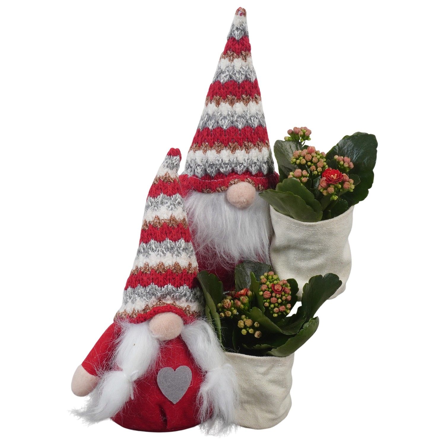 PTCHR7388 Arrangement Christmas Red in stoffen gnome, D 15 cm