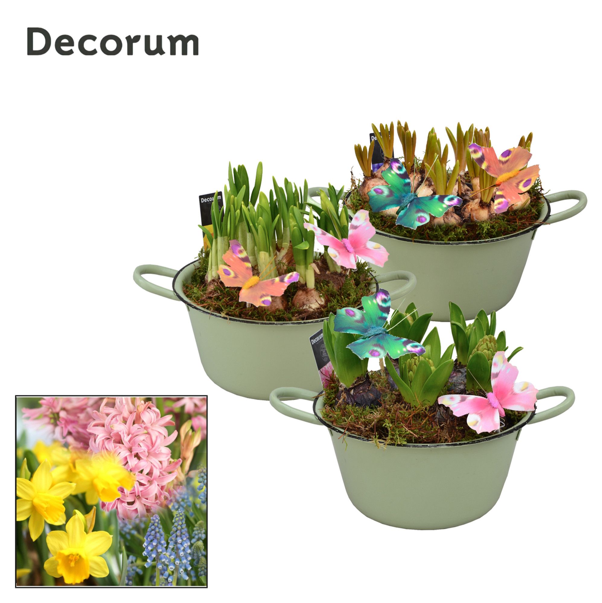 Bollenmix Bol en émail HL10573B, D 18