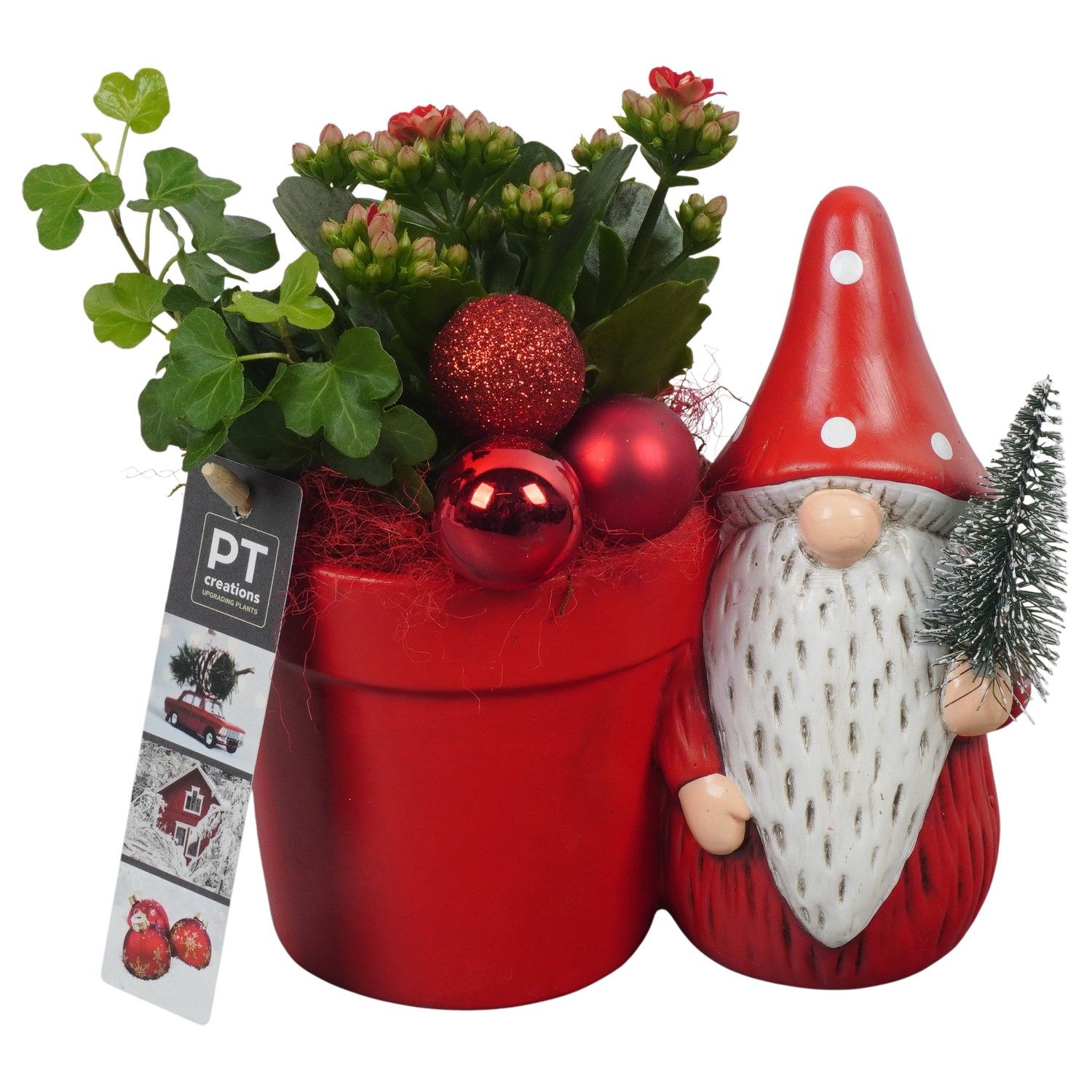 PTCHR7277 Arrangement Christmas Red in keramiek pot, D 11 cm
