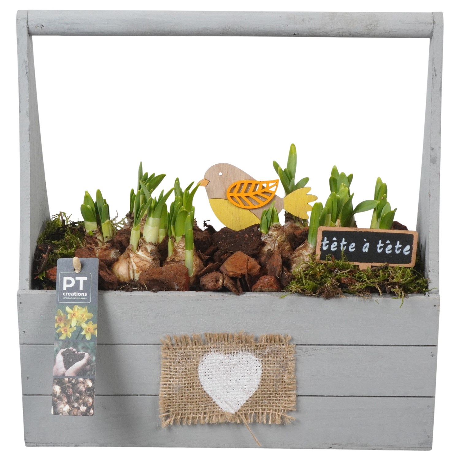 PTN8707 Arrangement Narcissus in houten bak, D 30