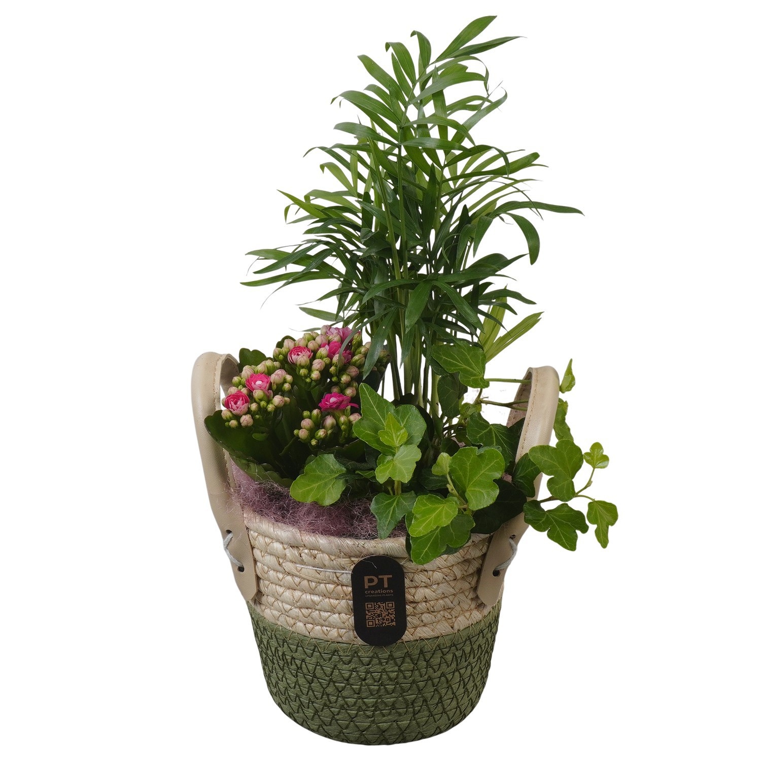 PTIB5229 Arrangement Indoor in rieten mand, D 14