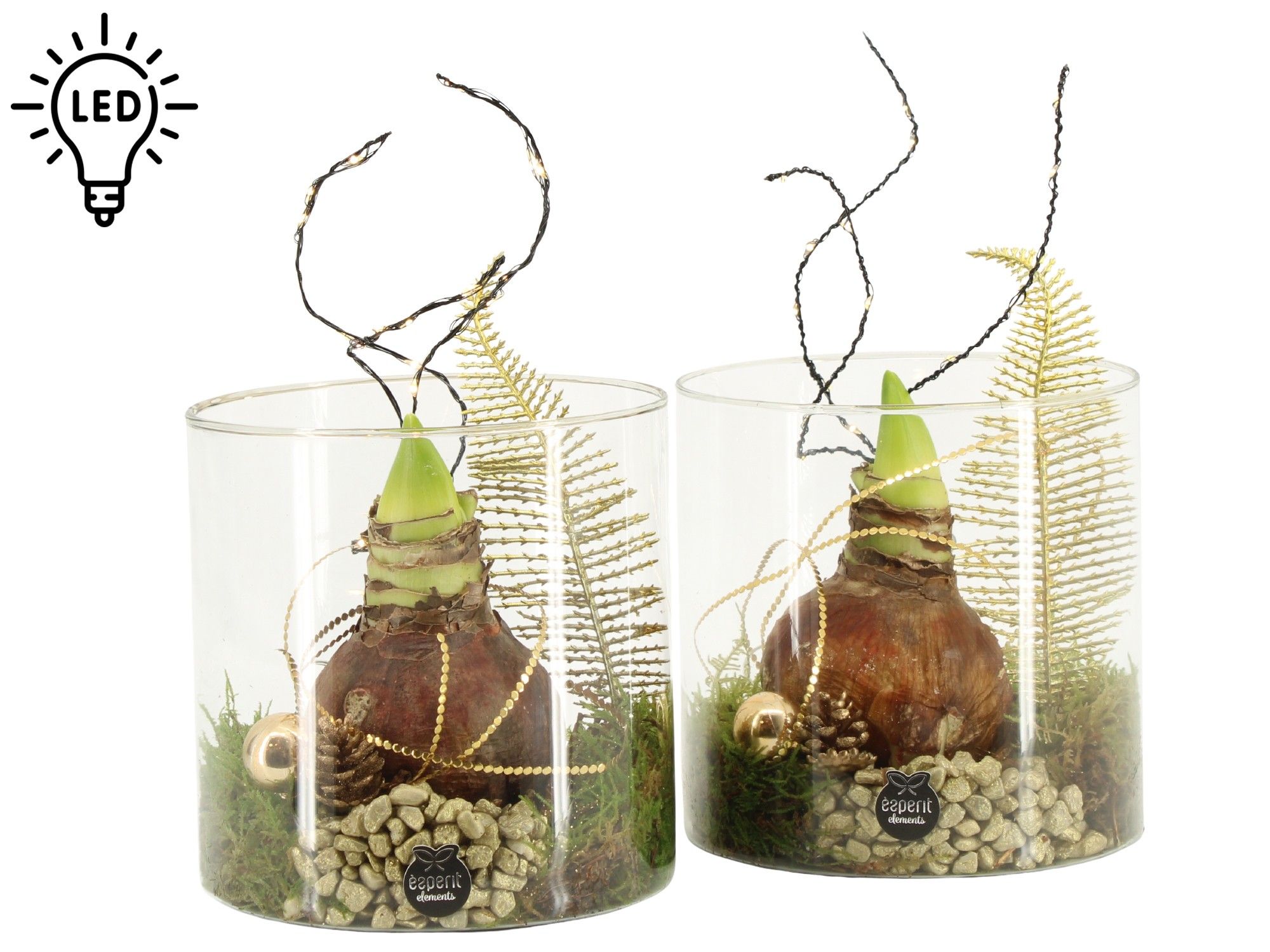 61922: X-mas arrangement met LED, D 15