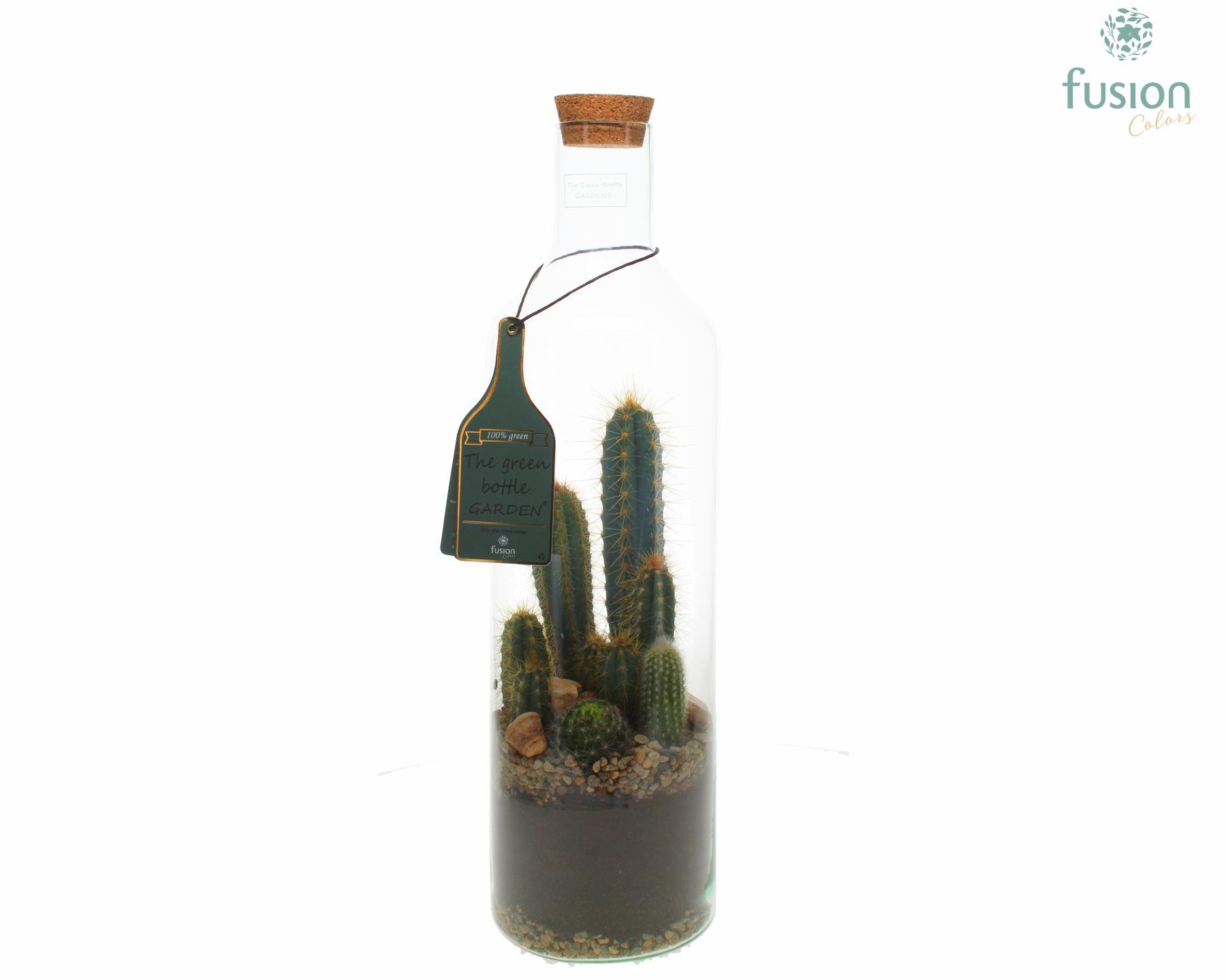 Green Bottle Fles Large met Cactussen, D 15