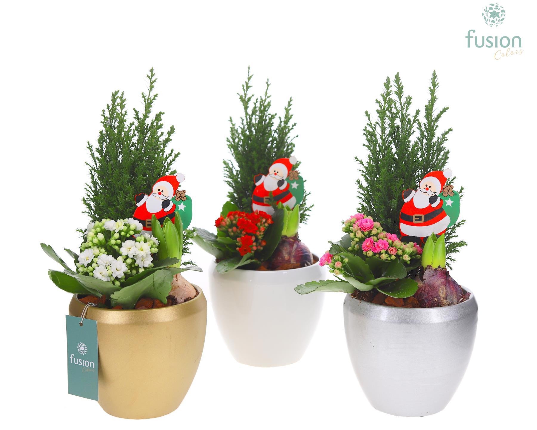 Keramiek pot met arrangement, D 15