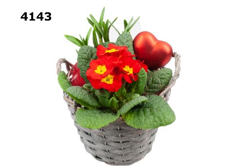 Valentijn potmand M, D 17