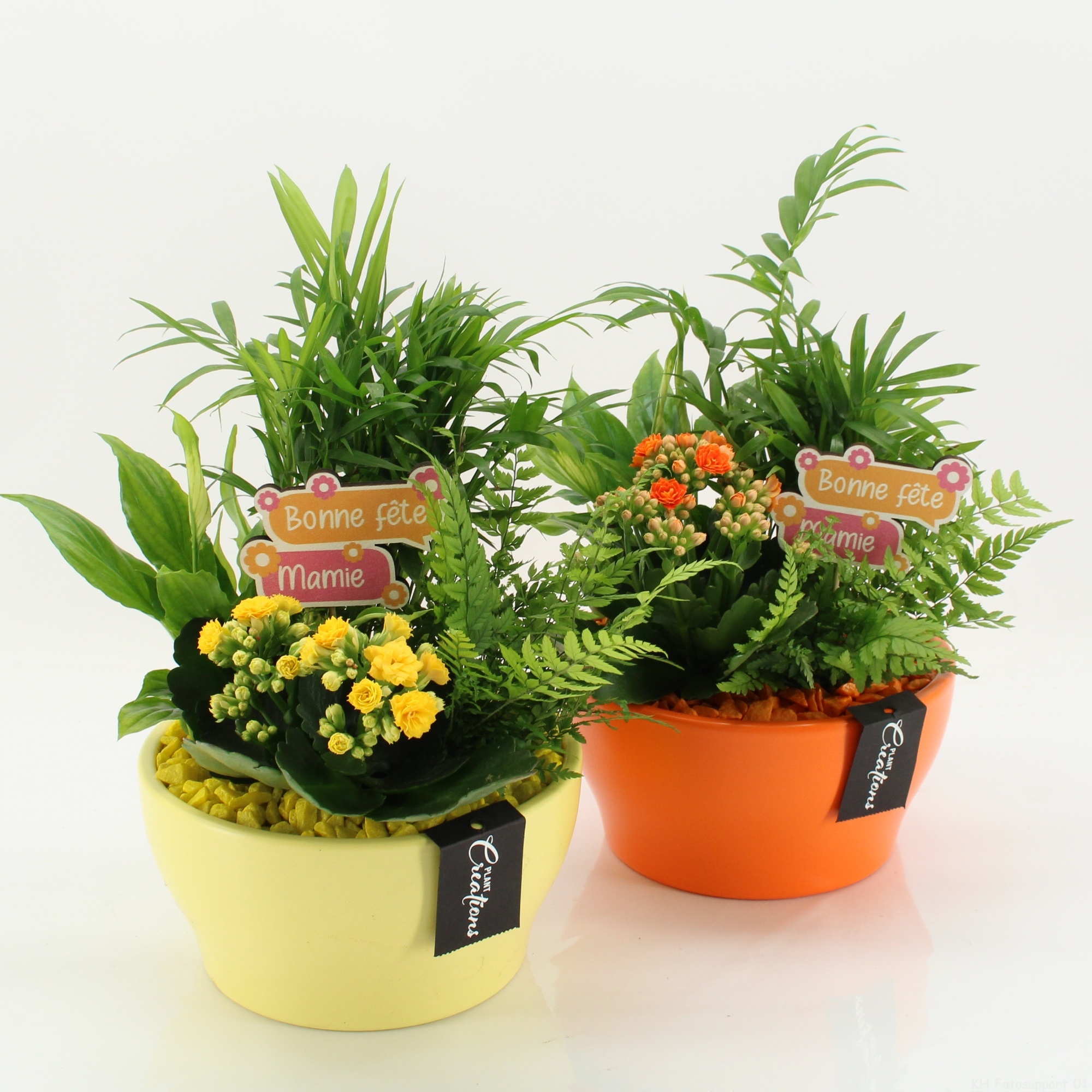 FGCR-2616M Fête des grands-mères, D 19