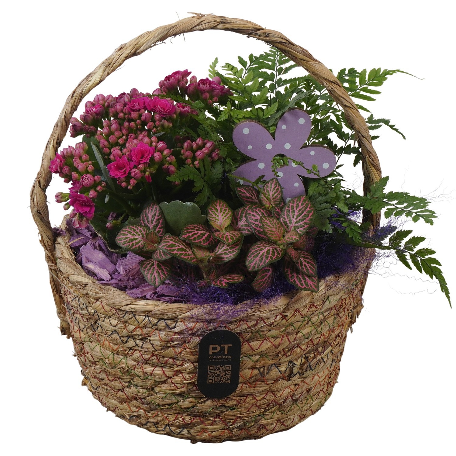 PTIB5224 Arrangement Indoor in rieten hengselmand, D 18