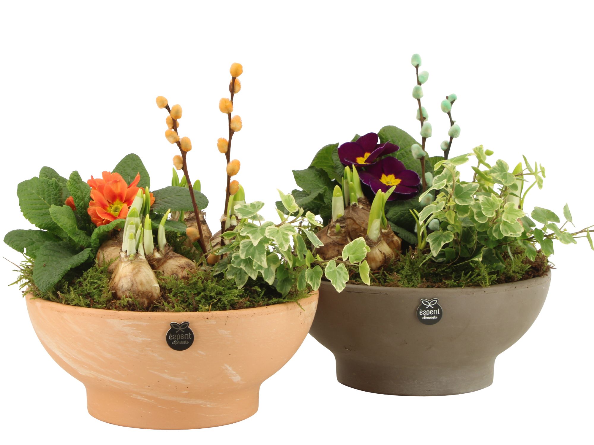 11672: Outdoor spring arrangement, D 23