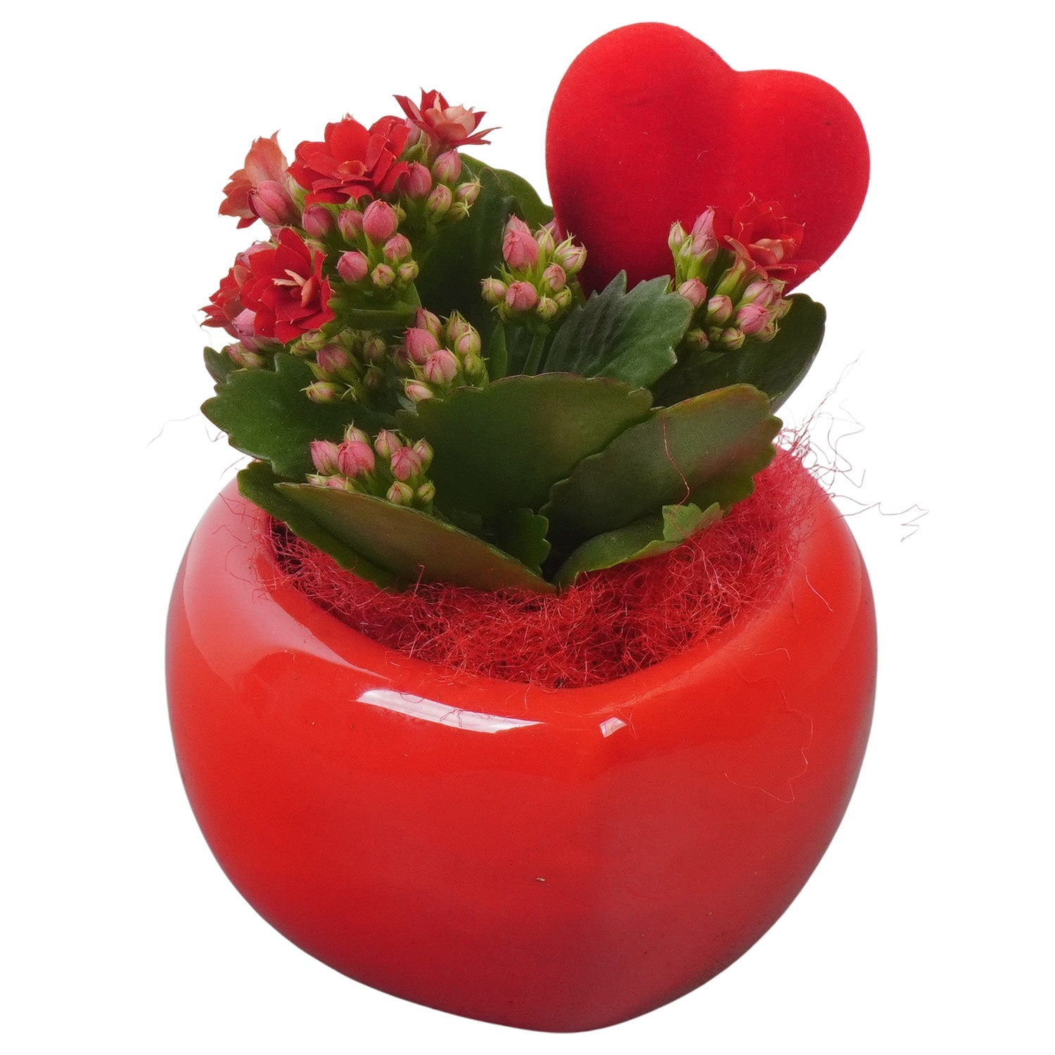 PTVMB2312 Arrangement Valentines-Mothersday in keramiek hart, D 11