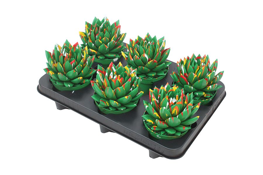 Mirande coloured Splash green, D 10,5 cm