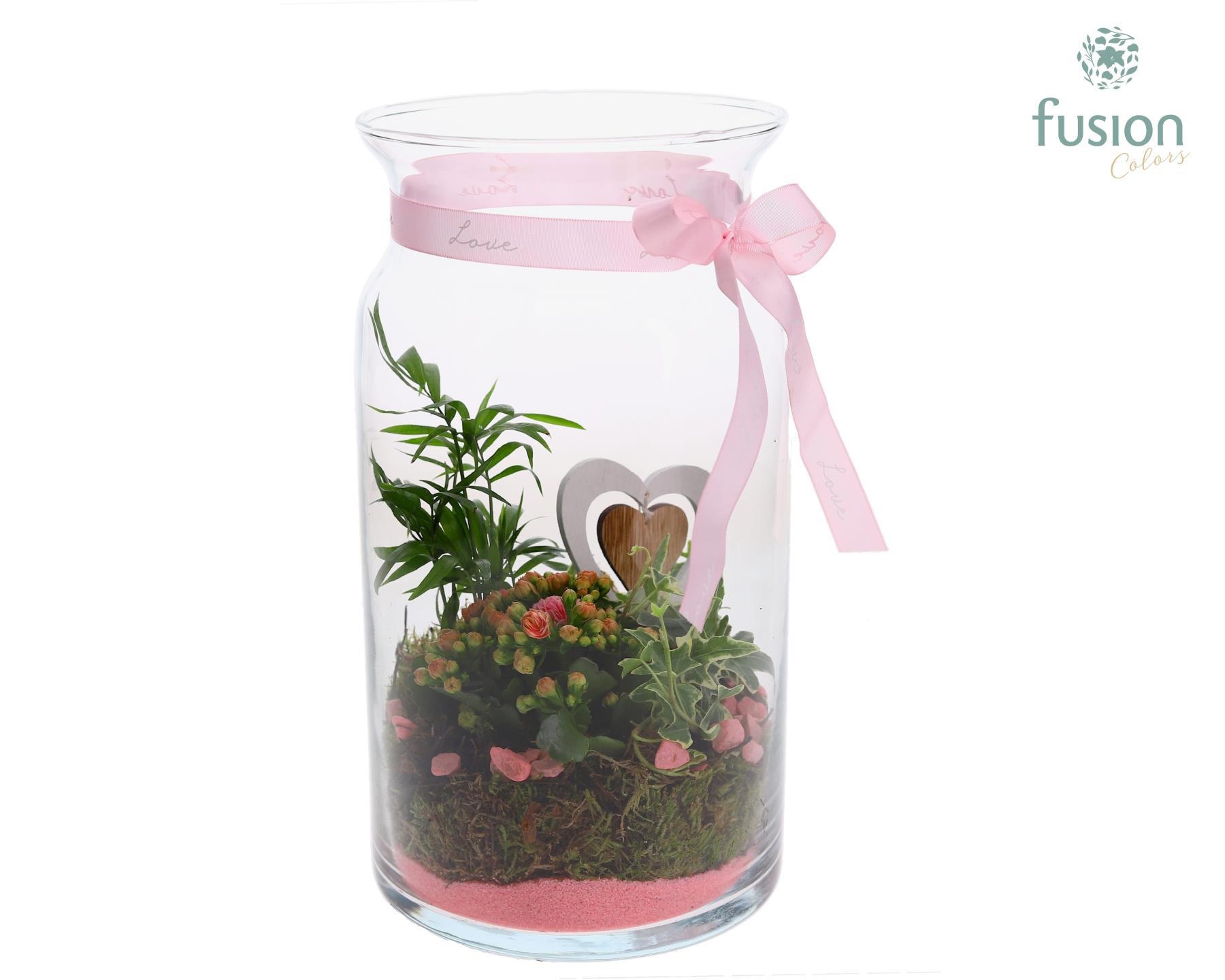 Melkbus Moederdag met arrangement, D 16