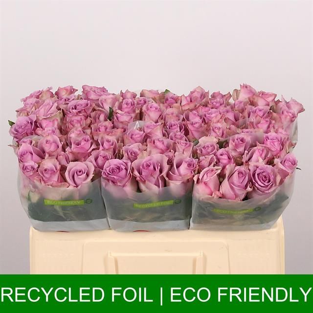 Роза од. Найтингейл! 50, шт.