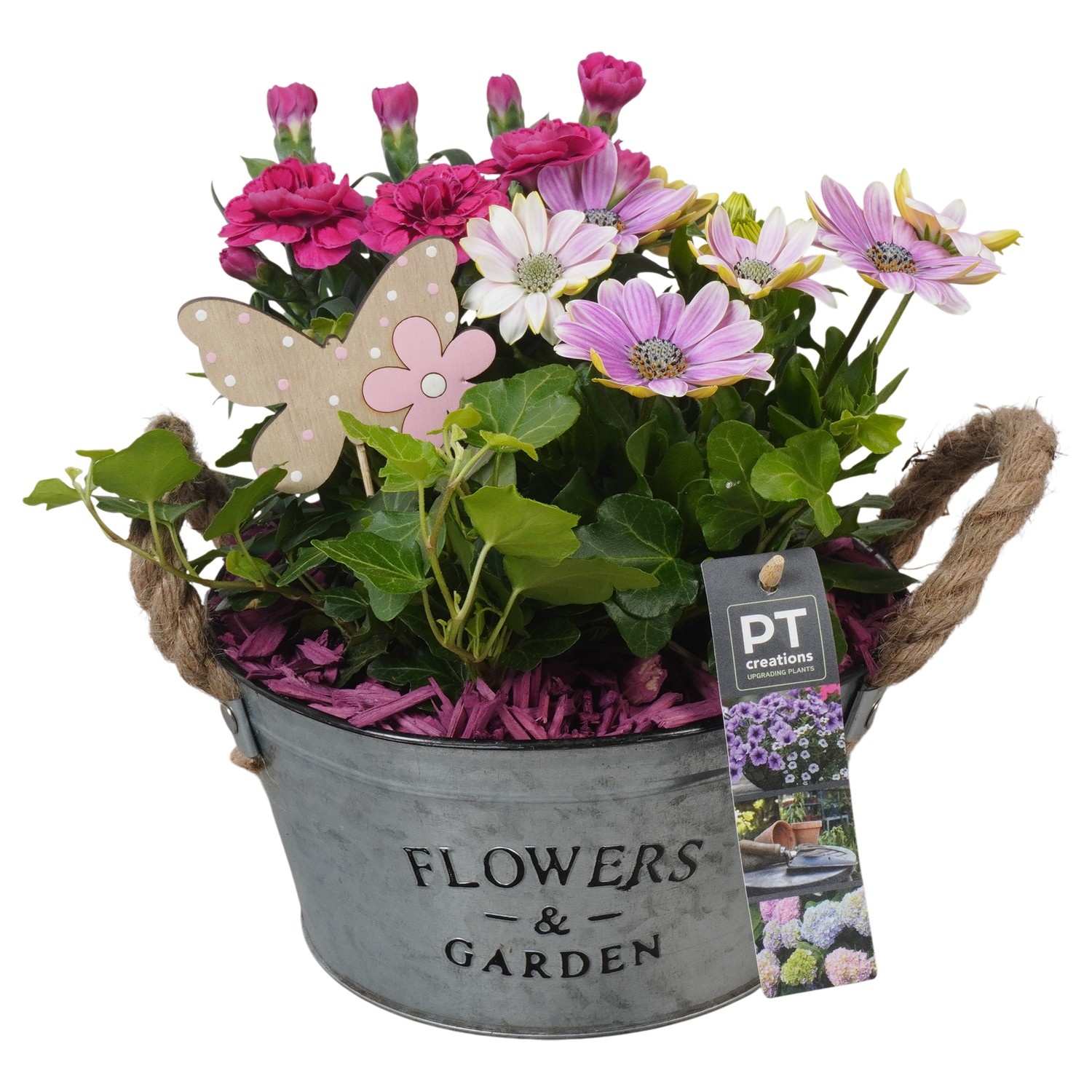 PTPP6908 Arrangement Patio in metalen schaal, D 19