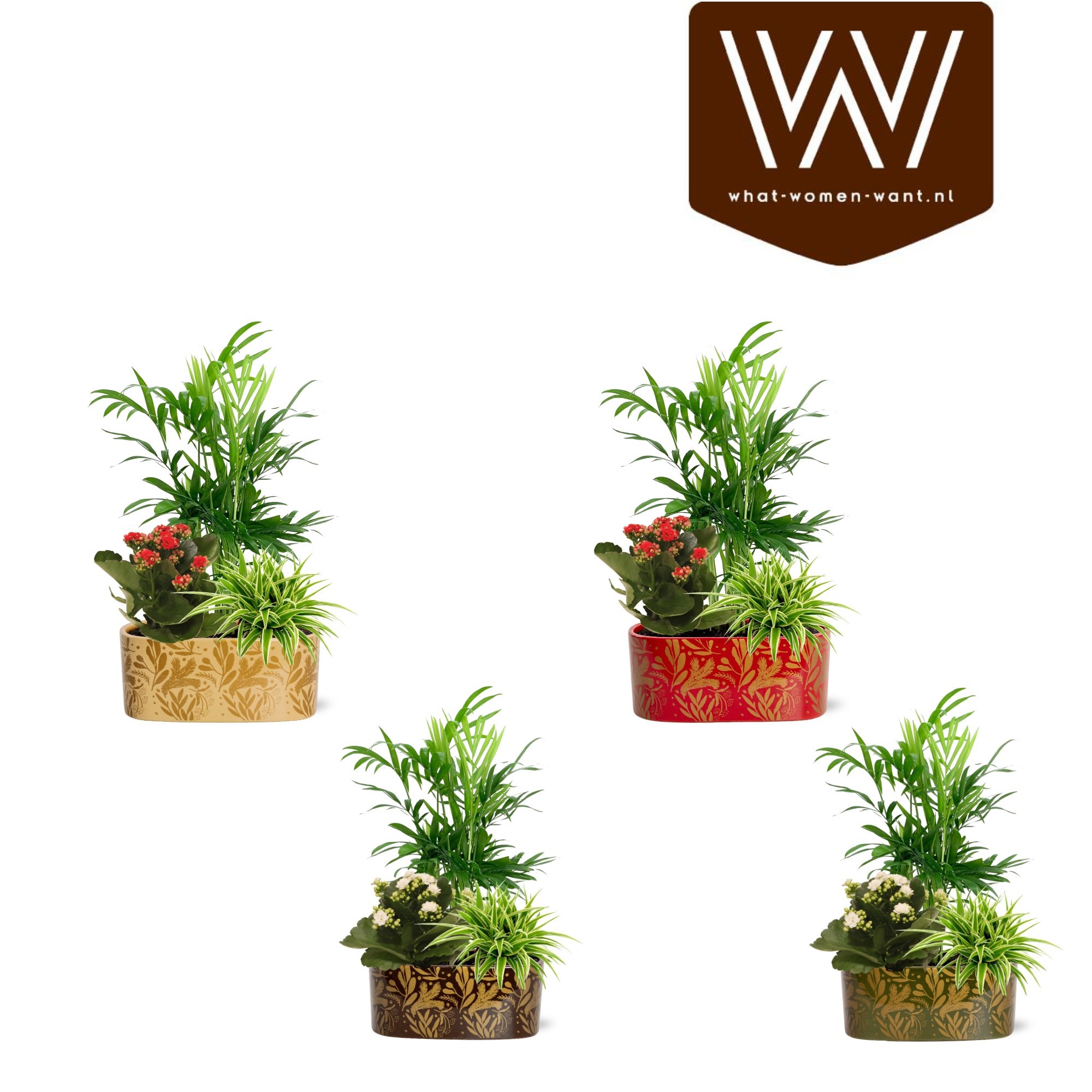 Collectie "Tasty Bubble" Arrangement in Jenn ovaal Keramiek, D 19