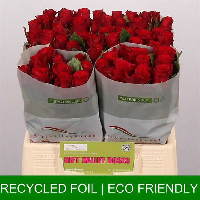 Роза од. Рэд Торч 40, шт. Роза од. Рэд Торч 40, шт.