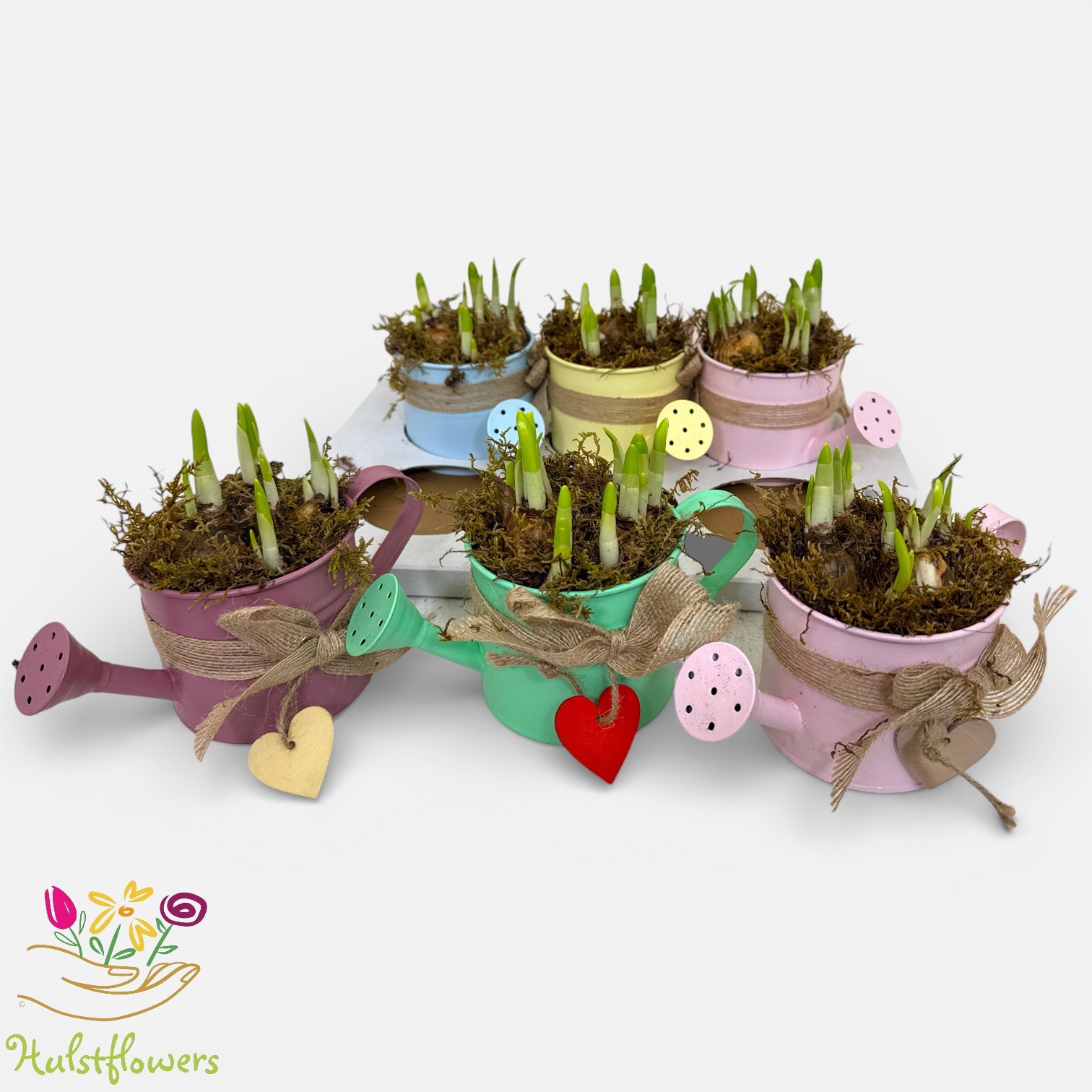 Arrangement Narcis Gieters van zink met strik en hartje, D 11