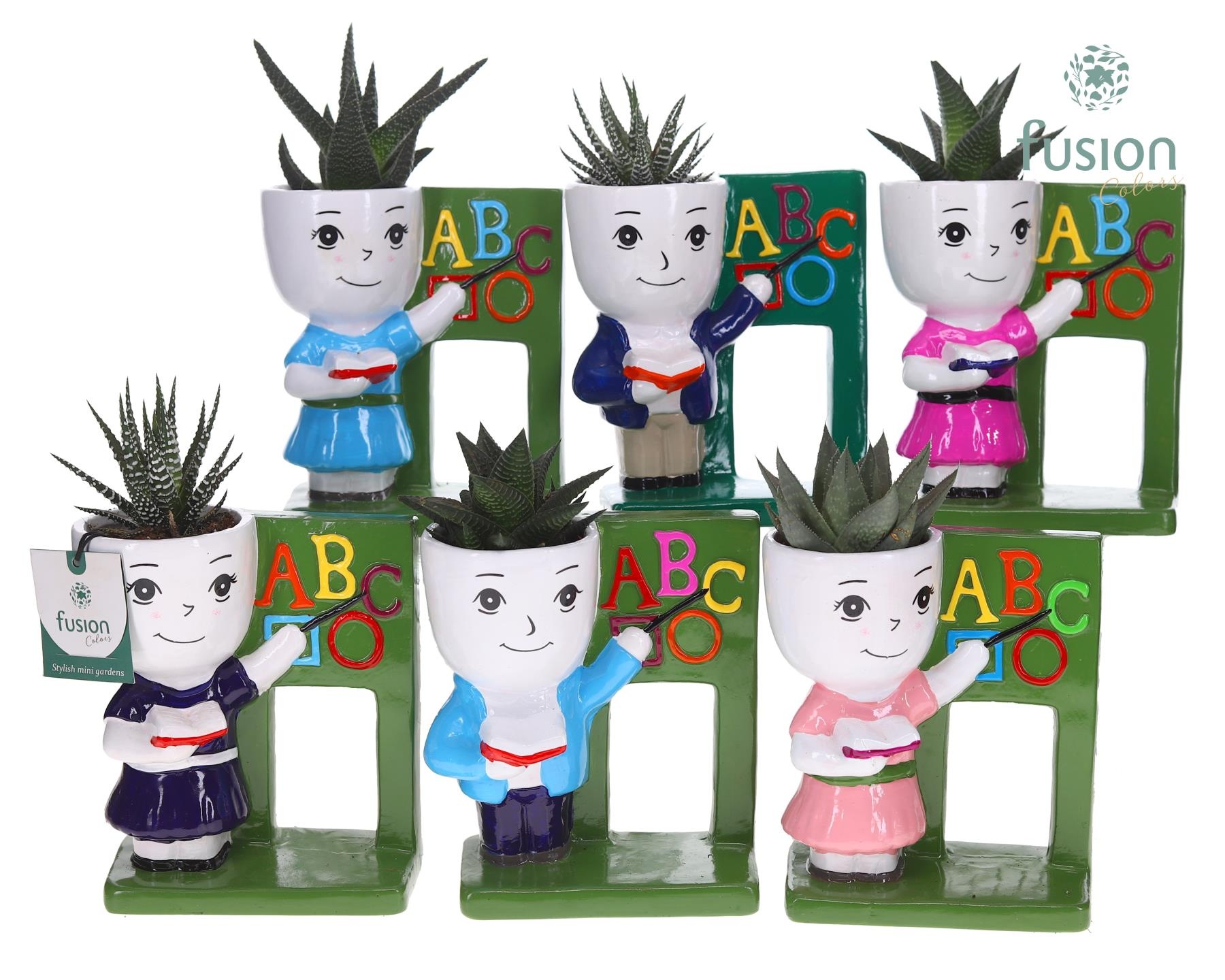 Keramiek back to school met Haworthia, D 16