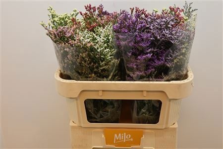 Лимониум Даймонд Микс 60, шт.