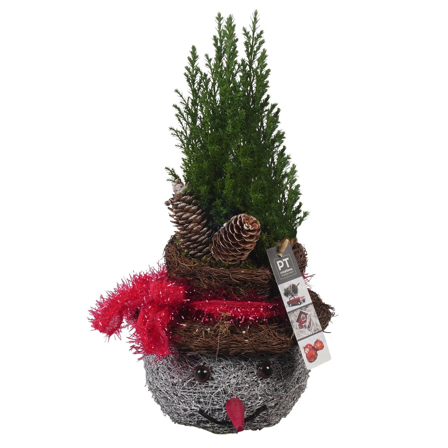 PTCWW6879 Arrangement Winter in rieten mand, D 18 cm