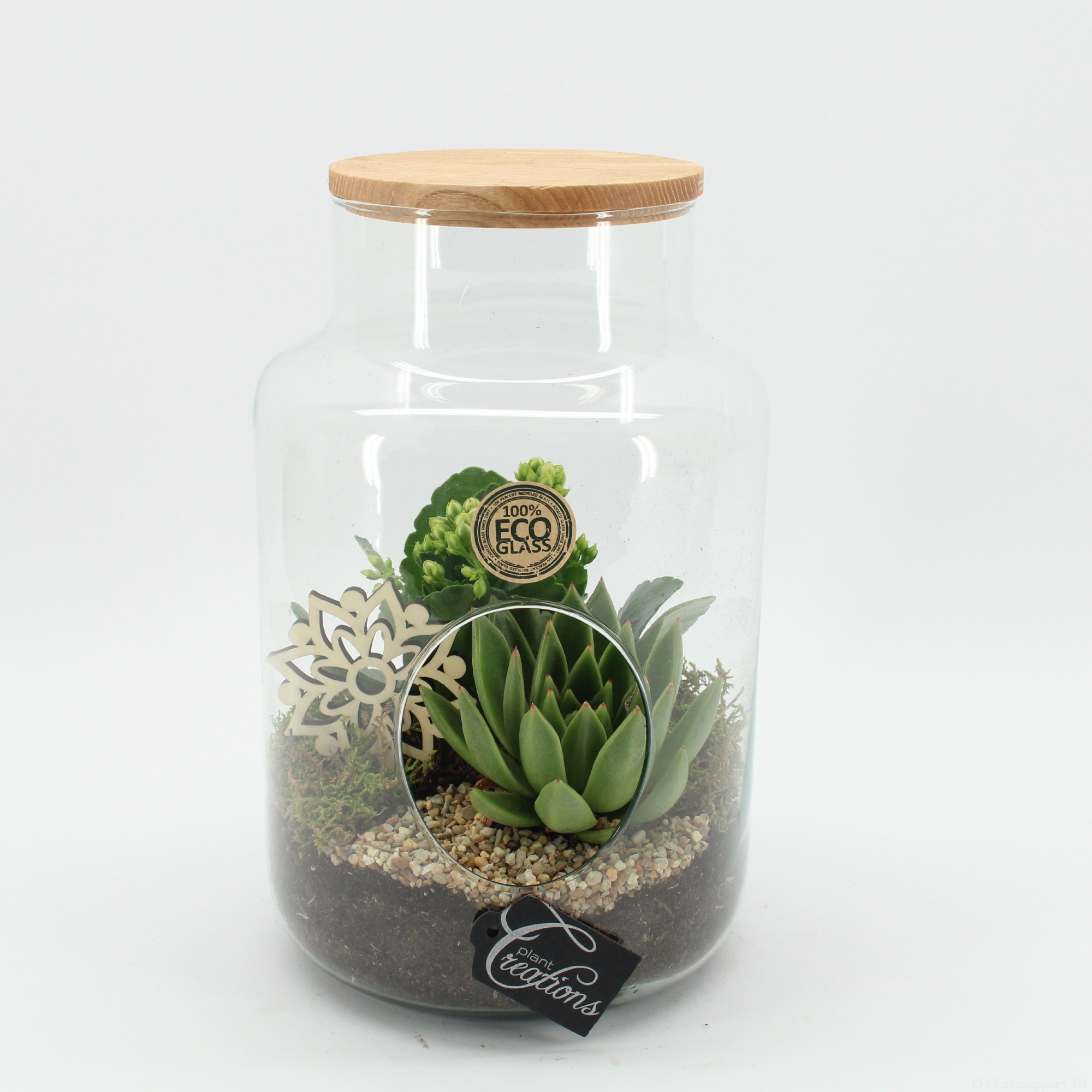 ESCR-2634W Essentials terrarium, D 19