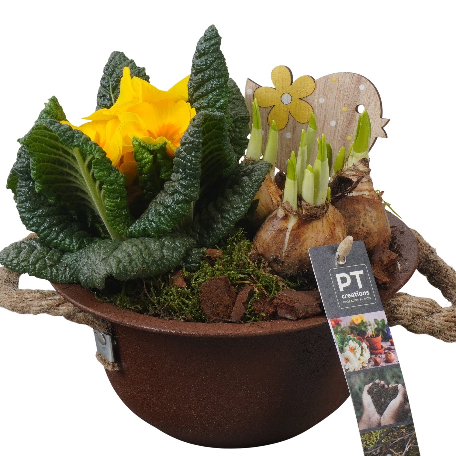 PTBM3719 Arrangement Flower Bulbs Mix in metalen schaal, D 18