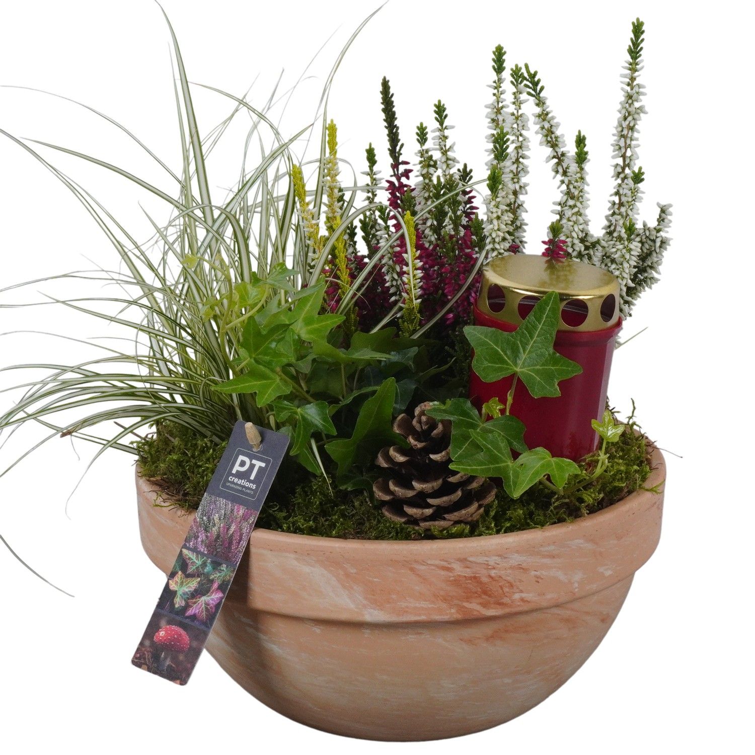 PTAH8633 Arrangement Allerheiligen in terracotta schaal, D 23 cm PTAH8633 Arrangement Allerheiligen in terracotta schaal, D 23 cm