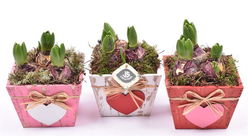 Hout vierkant hart decor mix 15x15, D 15