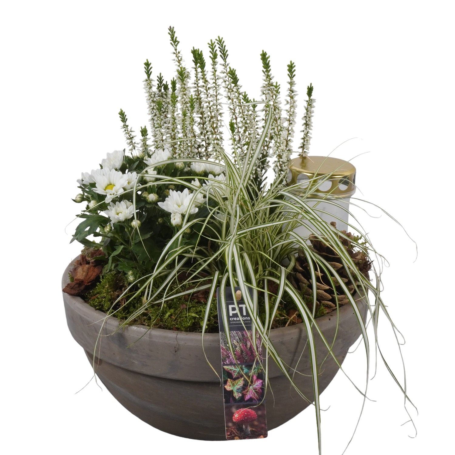 PTAH8640 Arrangement Allerheiligen in terracotta schaal, D 26 cm PTAH8640 Arrangement Allerheiligen in terracotta schaal, D 26 cm