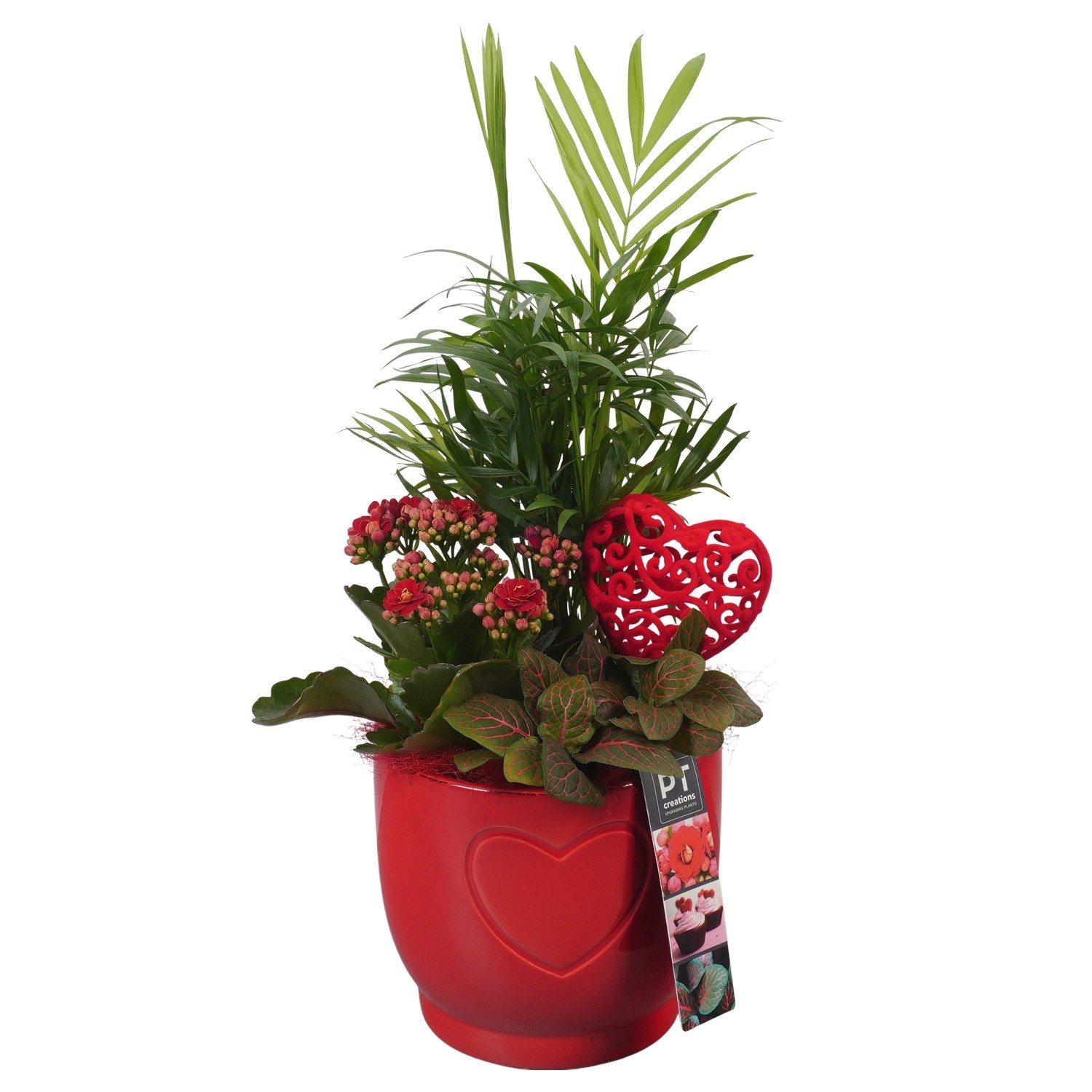 PTVMB2254 Arrangement Valentines-Mothersday in keramiek sierpot, D 14