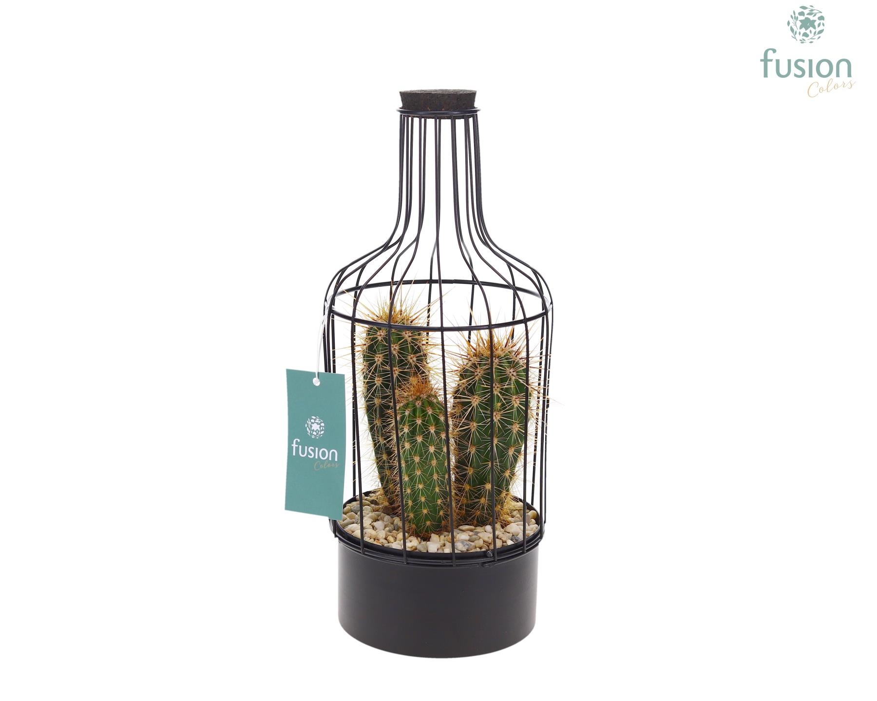 Metaal fles zwart Small met Cactussen, D 13