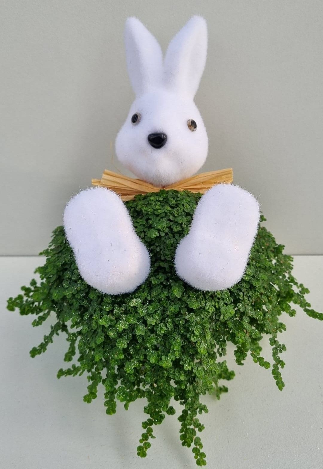 P39 Haas strik wit, D 11