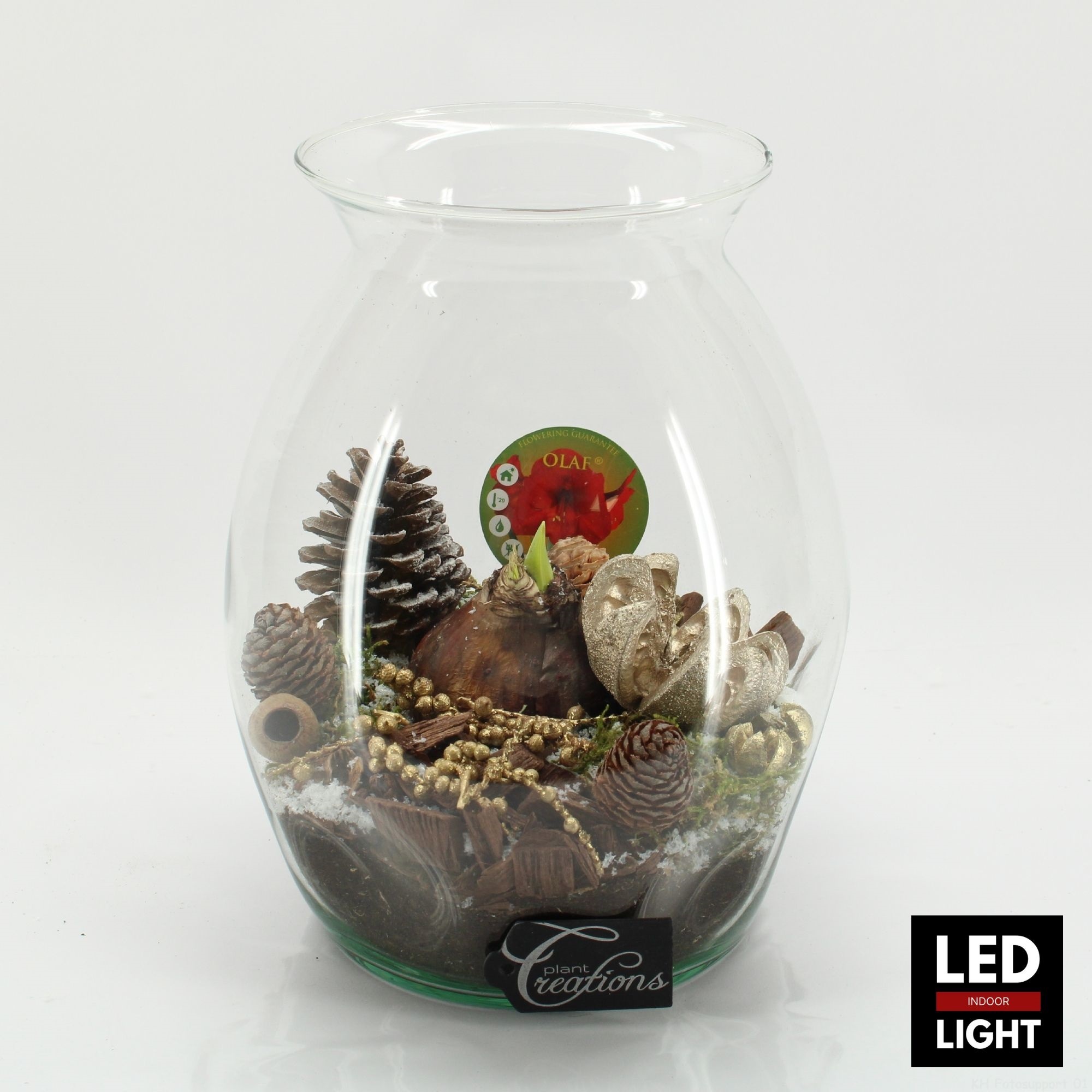 HICR-2506RLED Kerst Amaryllis terrarium, D 22 cm