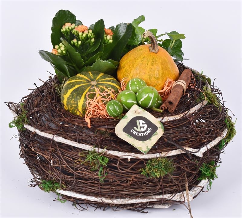 Natuur krans 26 cm, D 26 cm