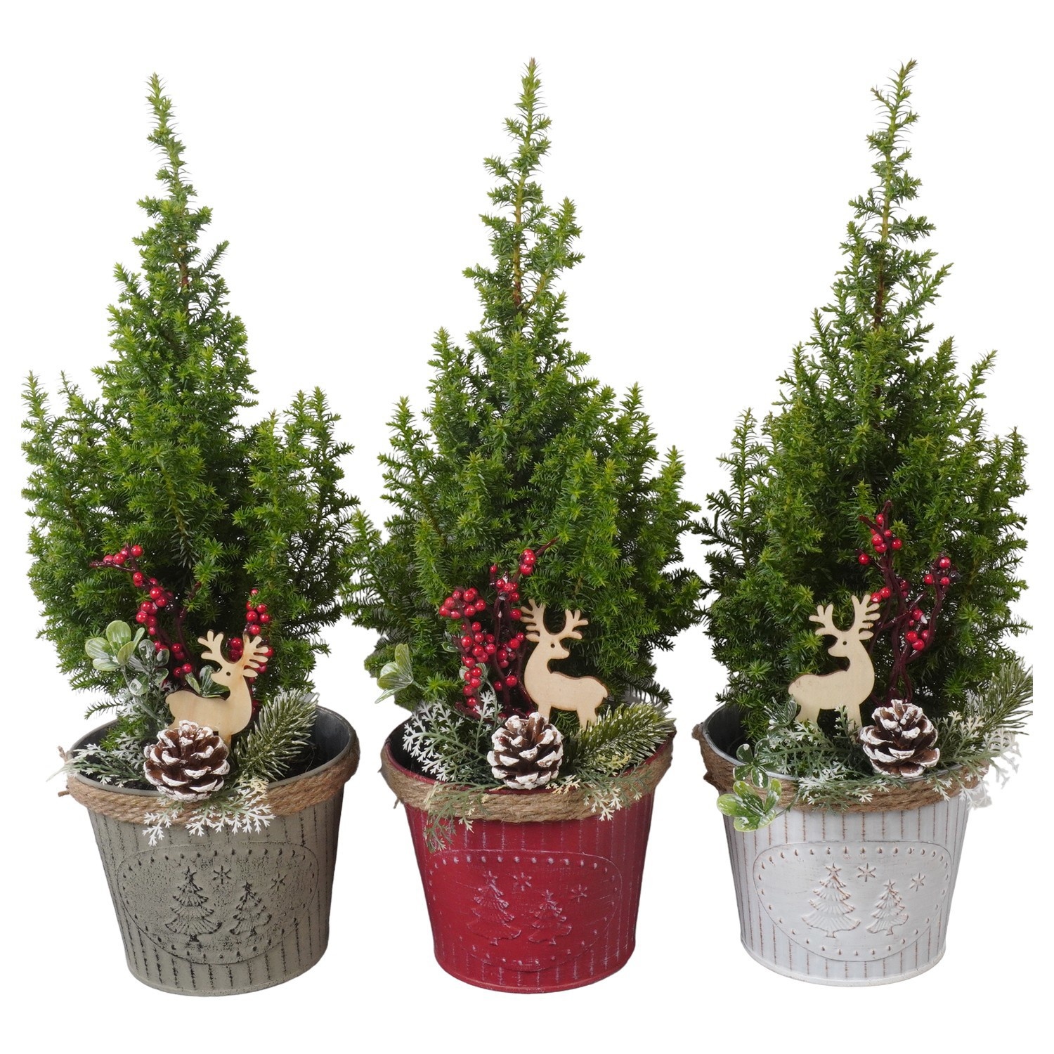 PTK261007 Top Point in zink mix met decoratie, D 14