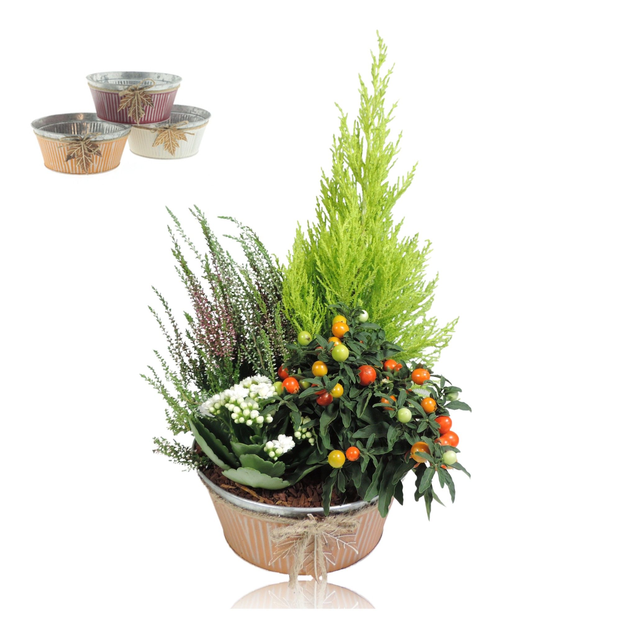 Collectie Autumn Leaf Arrangement in Zinken Schaal 21 cm, D 21