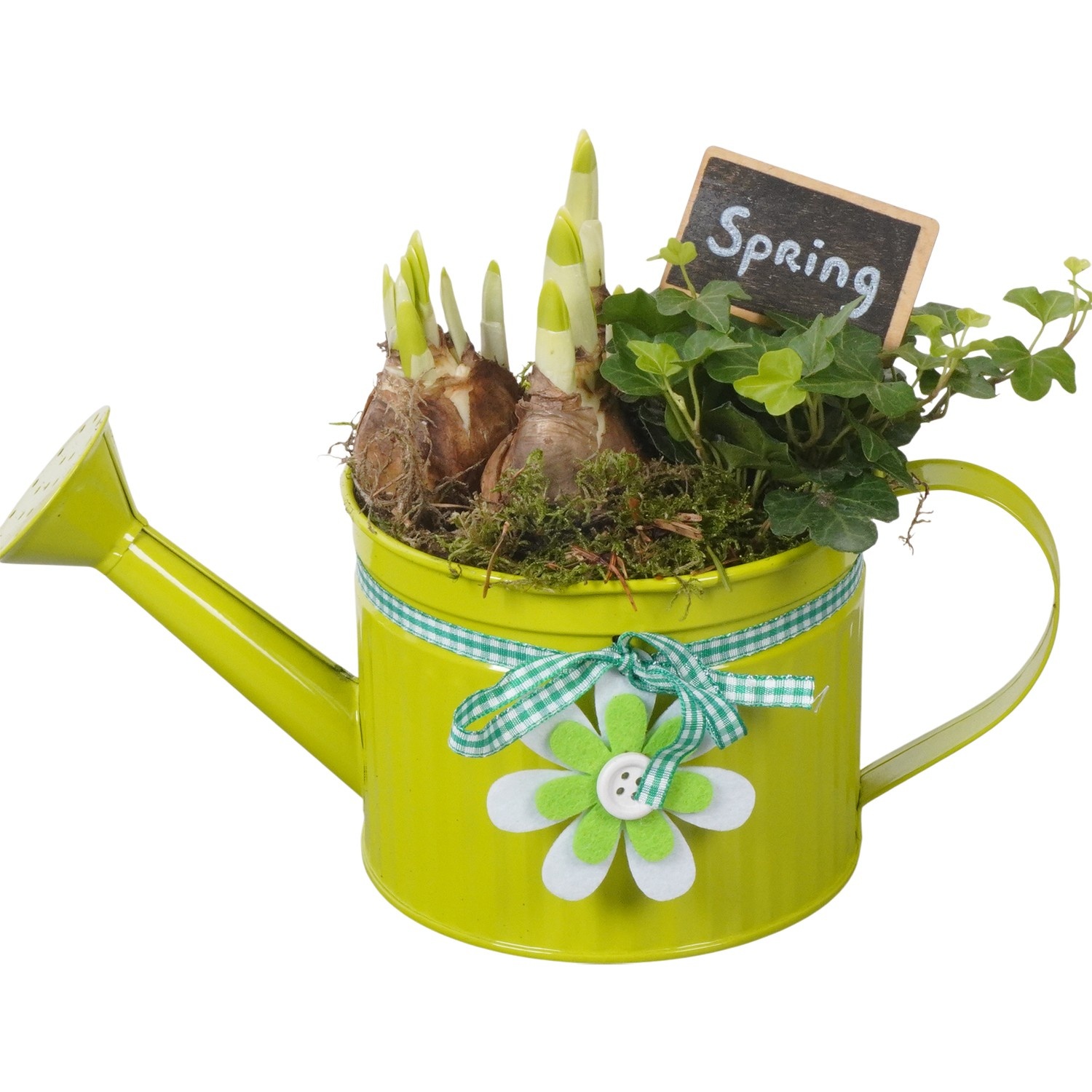 PTBM3739 Arrangement Flower Bulbs Mix in metalen gieter, D 12