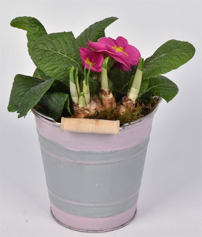 Zink emmer gekl.rand 13cm, D 13