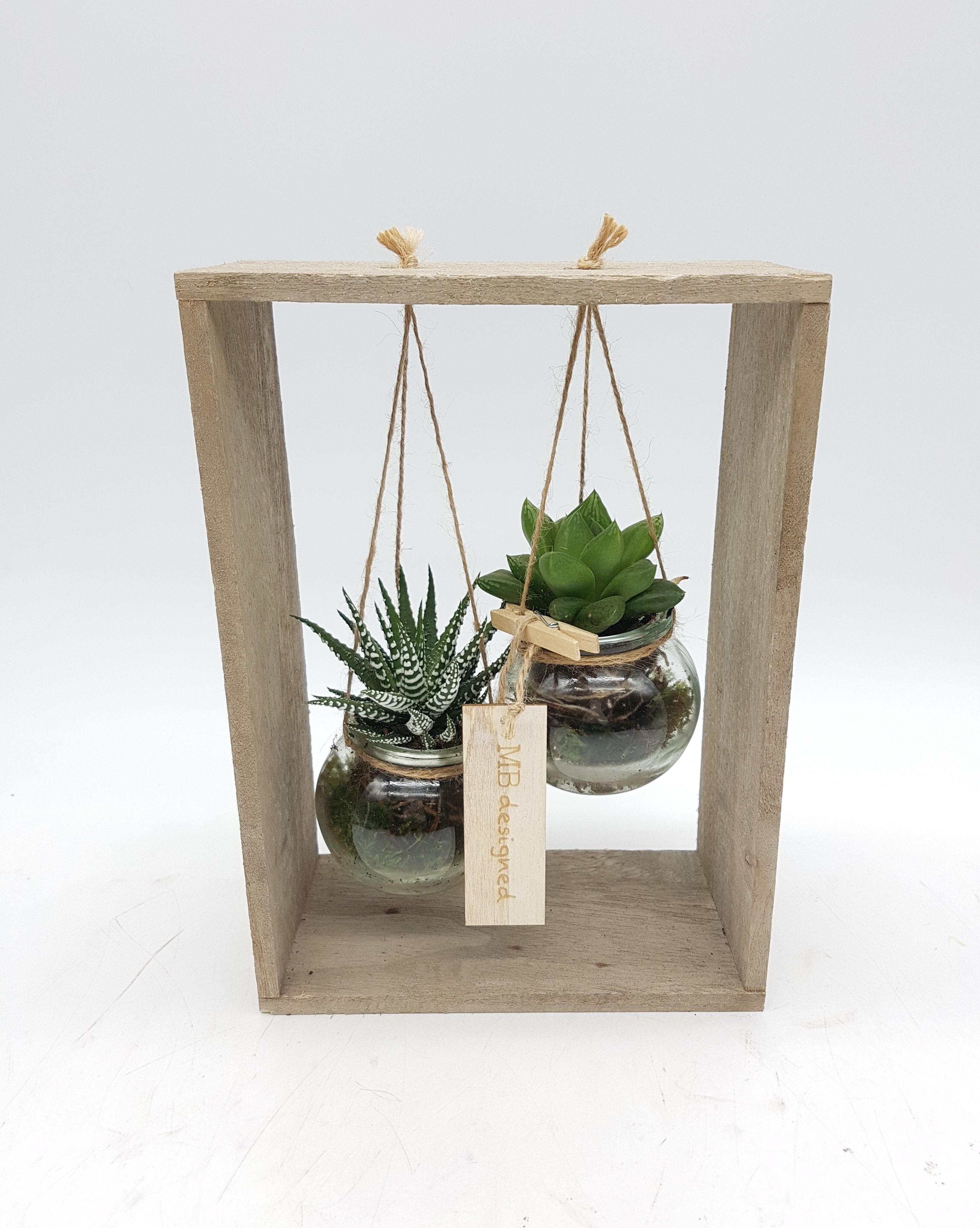 Frame hout 2 glaasjes succulent, D 19