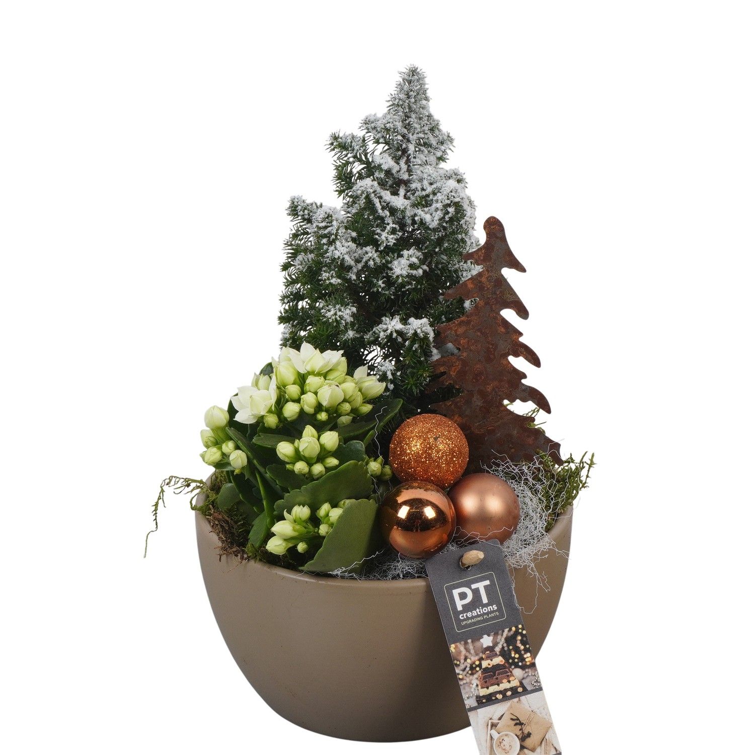 PTCHB9726 Arrangement Christmas Bronze in keramiek schaal, D 15 cm