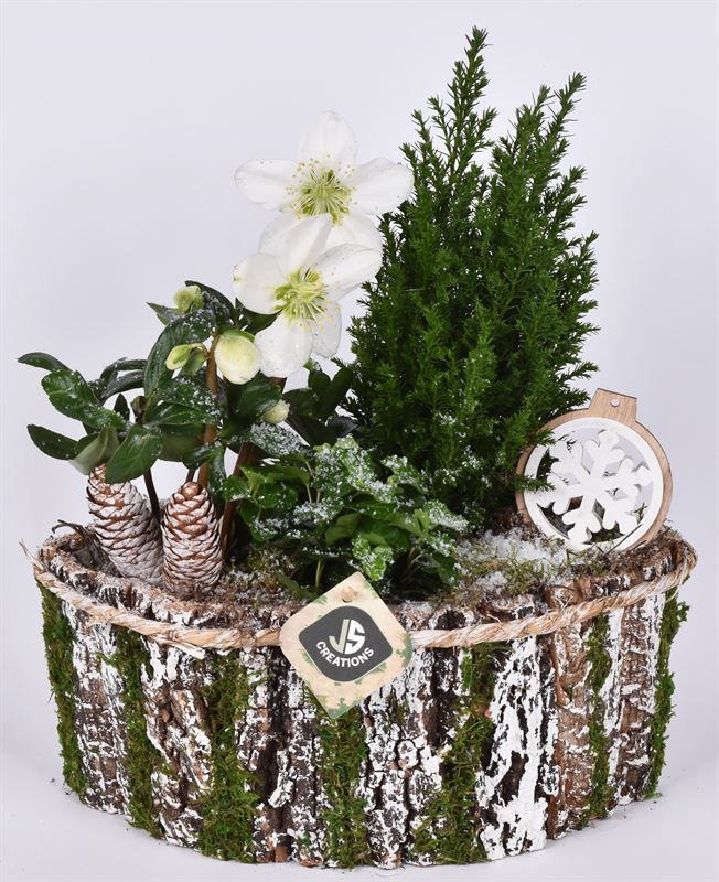 Boomschors kano 29x18cm, D 29 cm