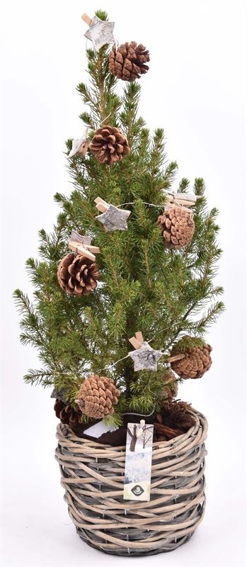 Wilg mand grijs 18cm, D 18 cm