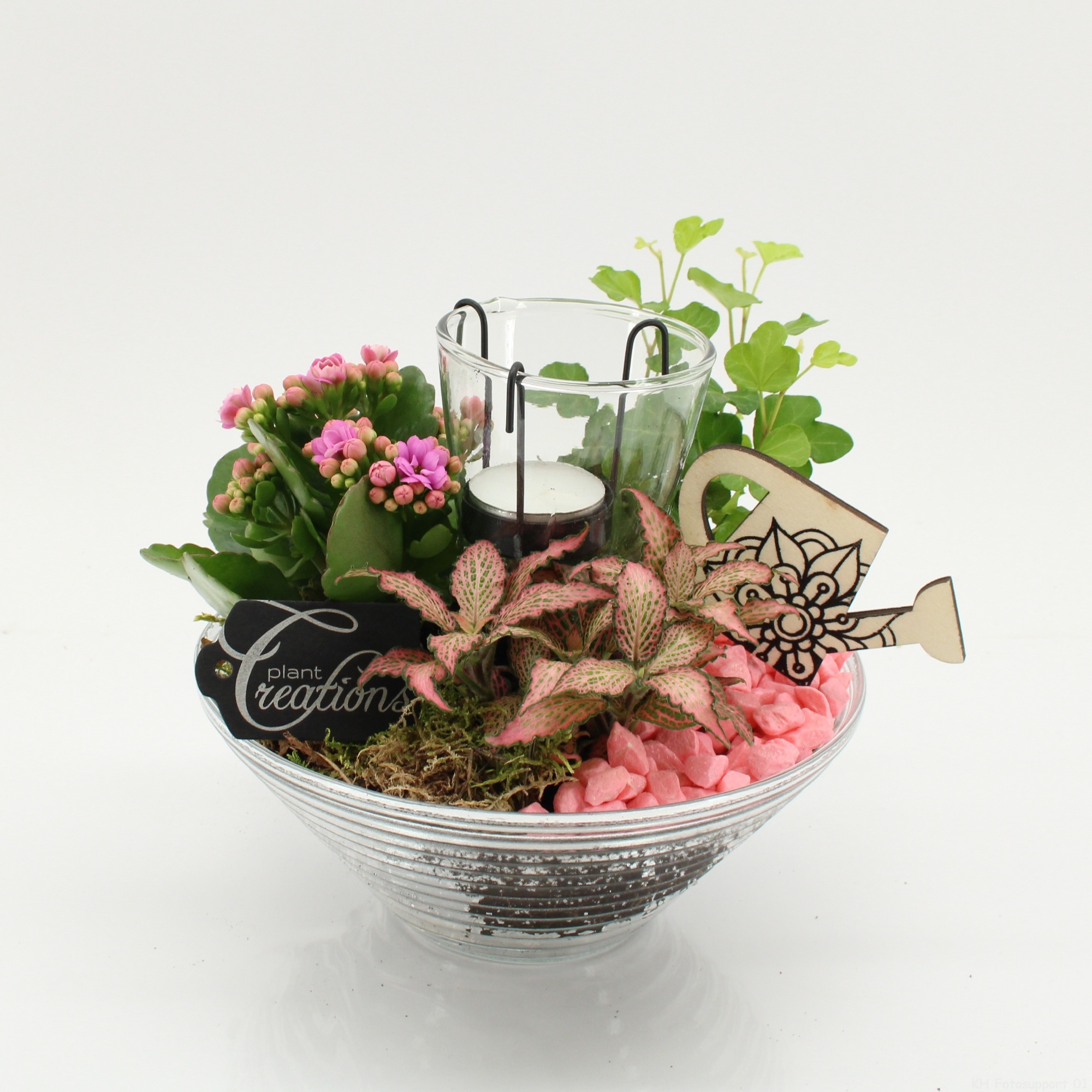 FDCR-2603RZ Basic Fundamentals, D 20