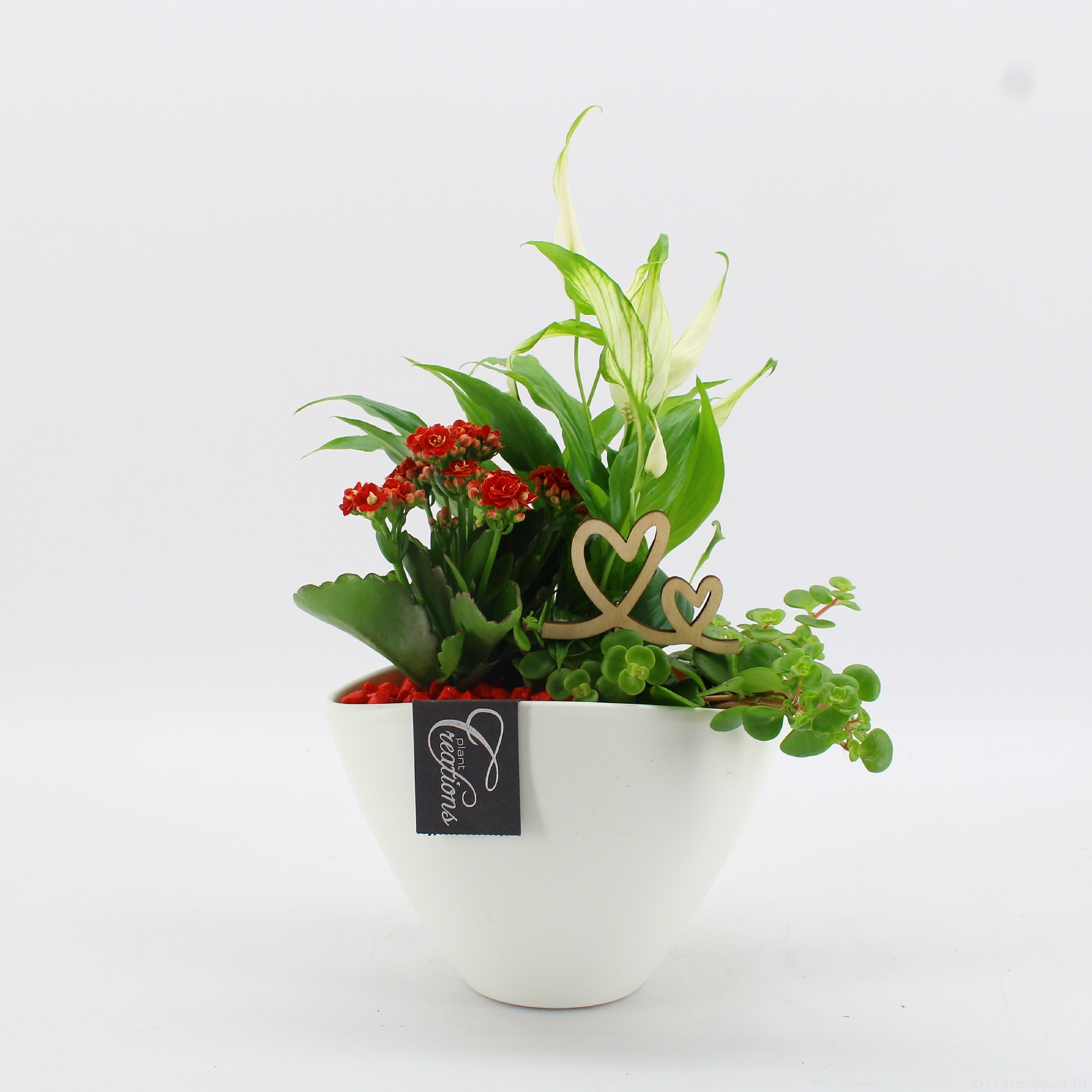 FDRM-2610R Romantic Fundamentals, D 18