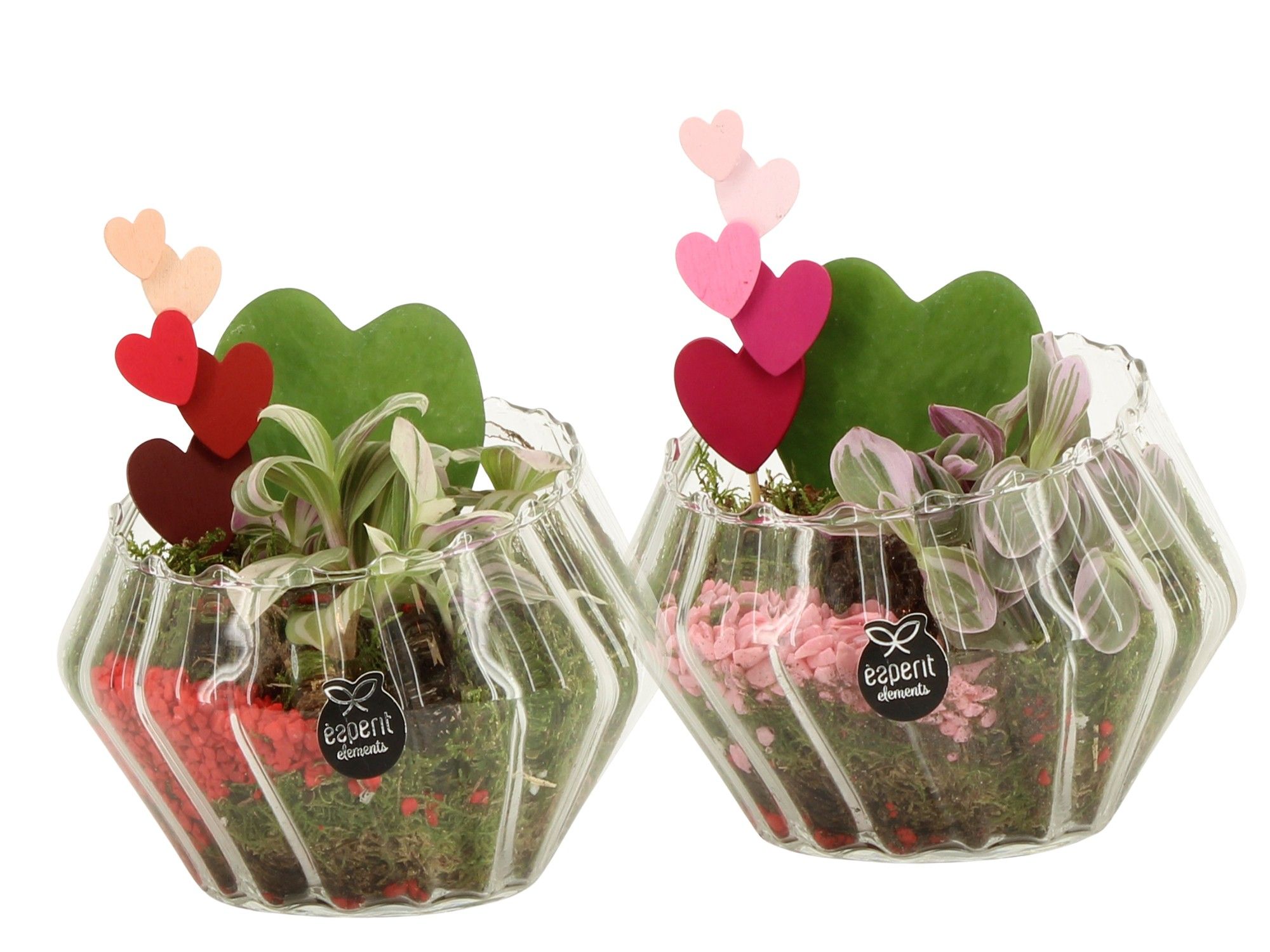 21799: Lovess arrangement, D 15