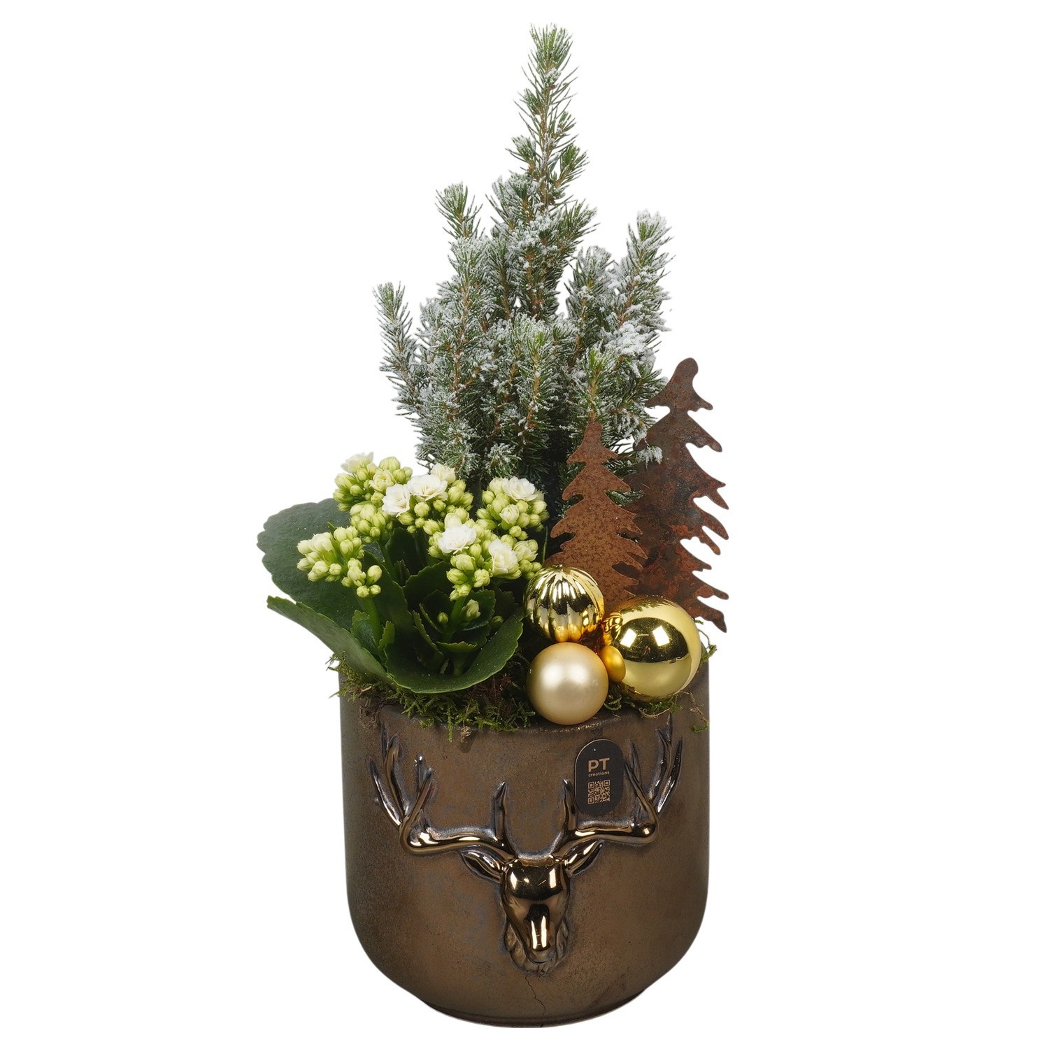 PTCHG4657 Arrangement Christmas Gold in keramiek pot, D 17