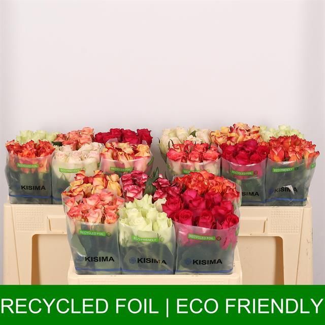 Роза од. Микс в баке 50, шт.